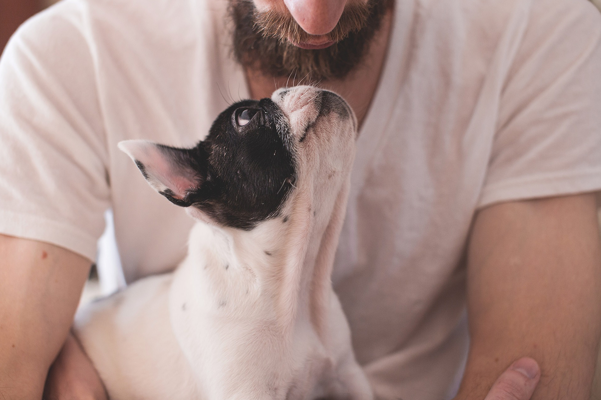 How dogs keep us happy and healthy