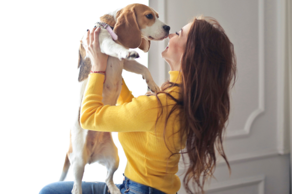 Top hacks for making dog ownership easier than ever
