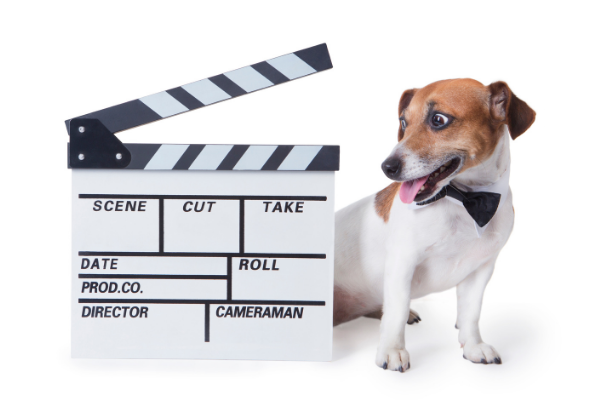 Yet more famous dogs from television and movies (part two) | Under One Woof