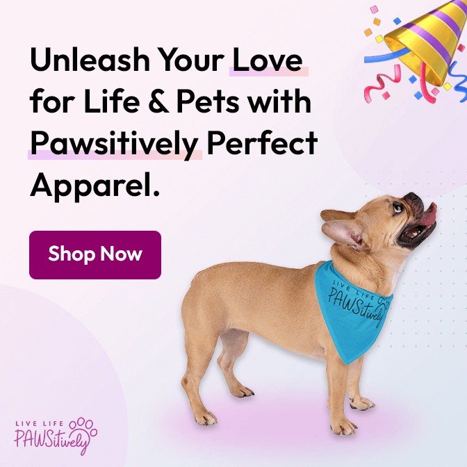 pawsitively-ad-banner