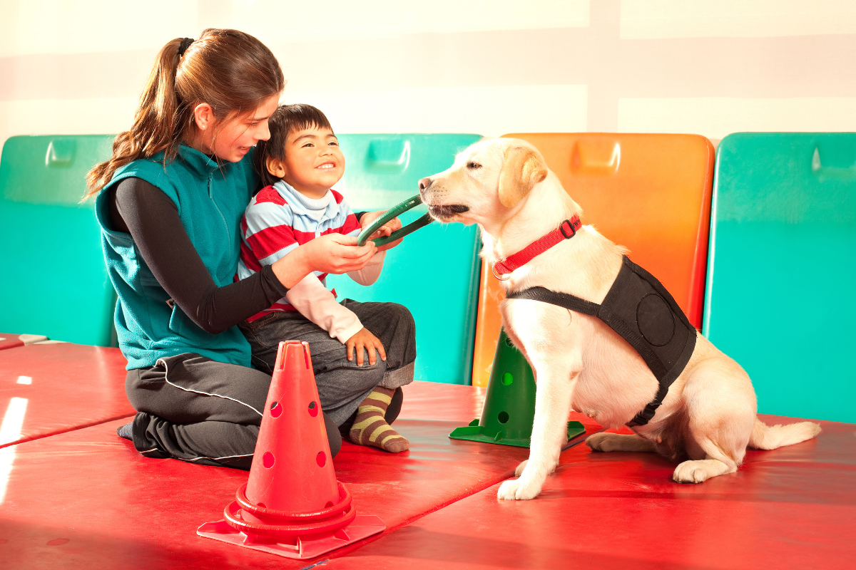 Determining if Your Dog is Right for Therapy Work