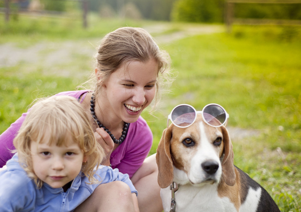 Why Choose Our Dog Daycare for Your Pup